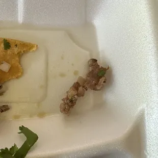 Large piece of gristle in taco