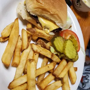Cheeseburger and fries - kids size