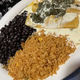 Vegetarian Enchiladas