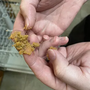 Bean and cheese taco