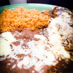 Chicken enchilada with mole sauce.