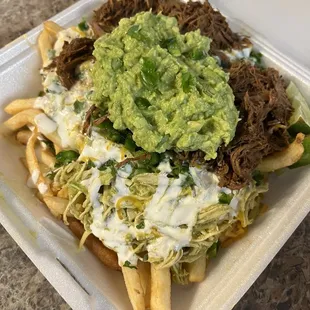 Pollo Verde and Barbacoa fries