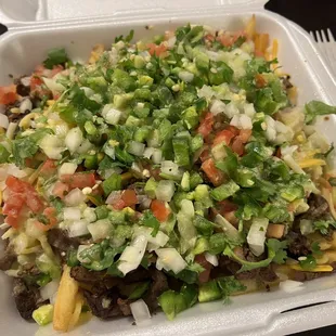 Carne Asada Fries