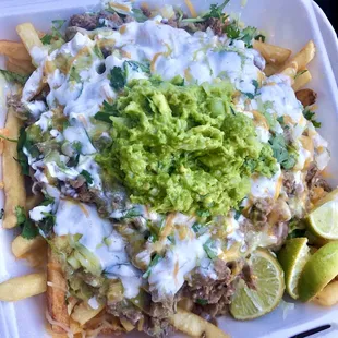 Carne Asada Fries