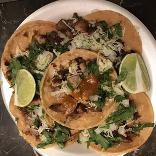 Carnitas Tacos