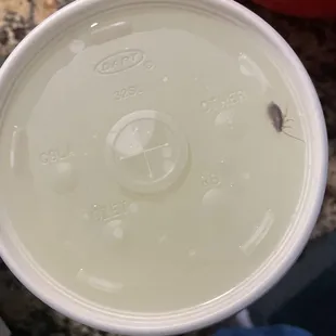 a close up of a plastic cup