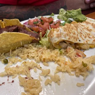 Quesadilla plate (half eaten)