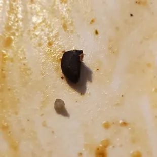 My girlfriend spit out this black rock and what looks like a shard of glass. Disgusting