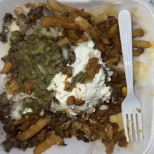 Carne Asada Fries