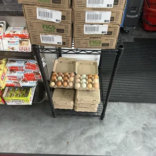 Fresh eggs