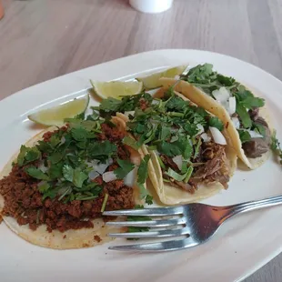 Asada taco, carnitas taco and chorizo taco.