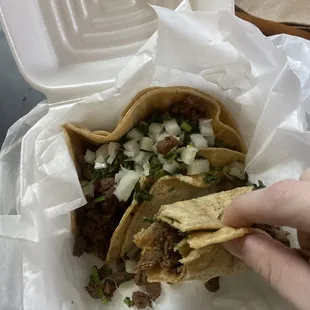Bistec tacos with cilantro and onion- perfect street taco