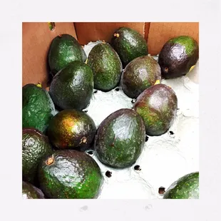 Future guac