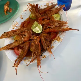 Shrimp
