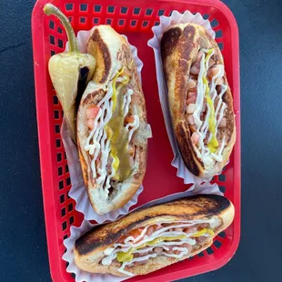 Amazing Sonoran dogs!
