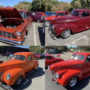 Orange and Maroon Beauties