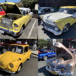 Yellow and Pink Beauties