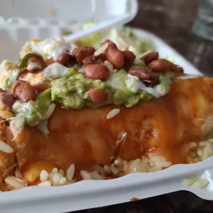 Chicken burrito.  Not exactly the prettiest meal.