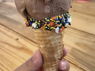 Two Chicks Sandwiches and Scoops