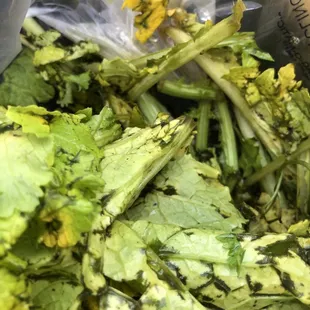 This is photos of the greens purchased only 7-8 hours after purchase.