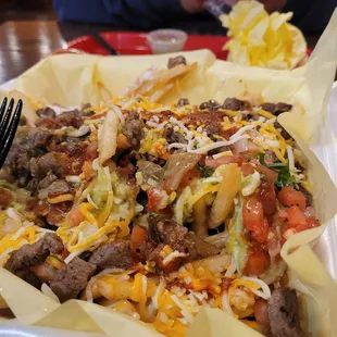 Carne asada fries