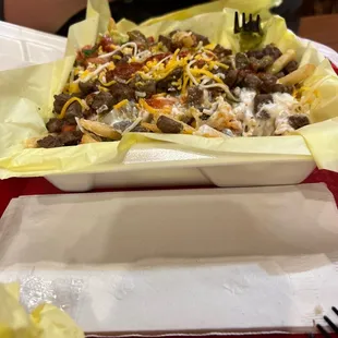 Carne asada fries