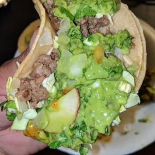 a hand holding a taco