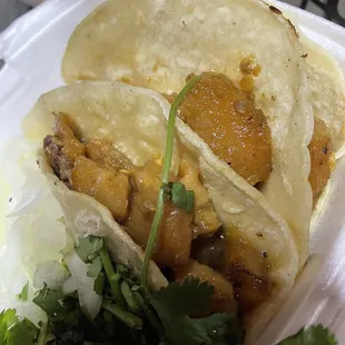 Chicharron tacos