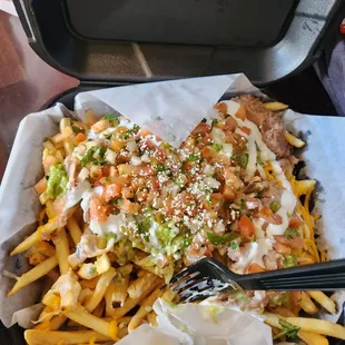 loaded fries-pretty dry with not a lot of toppings to go around with all those plain fries