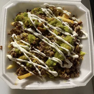 CARNE ASADA FRIES