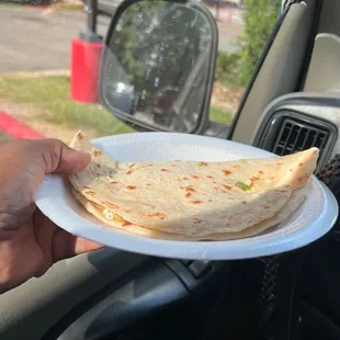 a person holding a plate of food