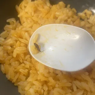 Here is the roach in the rice