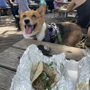 Revuelta taco with corn tortilla