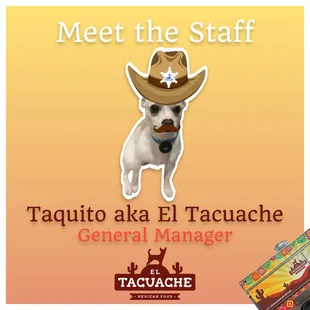 a dog wearing a cowboy hat