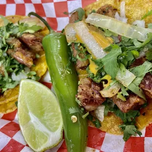 Tacos de tripa