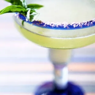 a margarita in a coupe glass