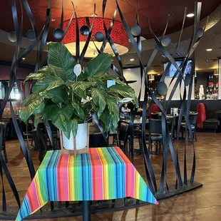 a potted plant on a table in a restaurant