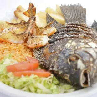 Mojarra / Tilapia