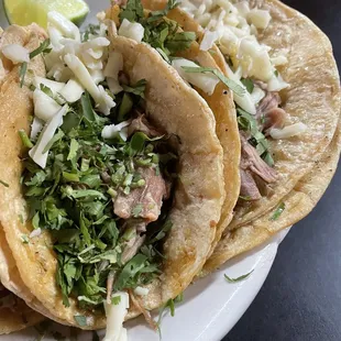 Carnitas tacos with corn tortilla, cilantro and cheese