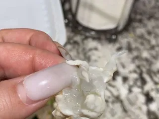 Mariscos Las Islas Marias