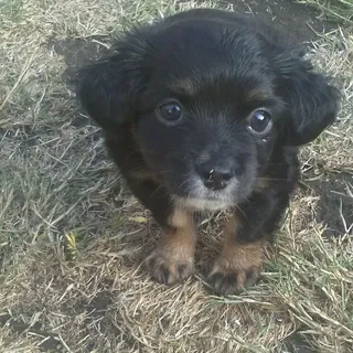 Leni B.