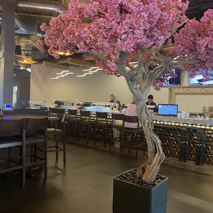 a cherry tree in a restaurant