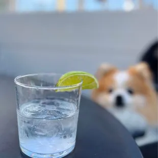 Casamigos Blanco (Double-$26)