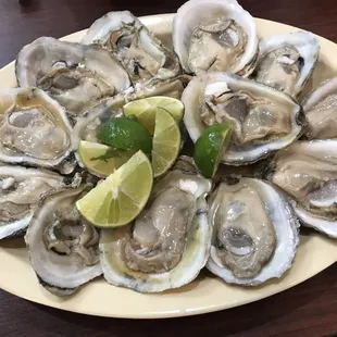 Fresh oysters