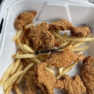 Old French fries and dry hard nuggets