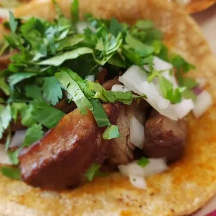 Carnitas taco