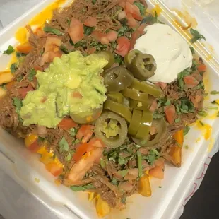 Most delicious Birria Fries!!!