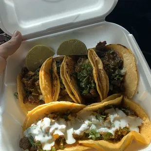 Delicious tacos