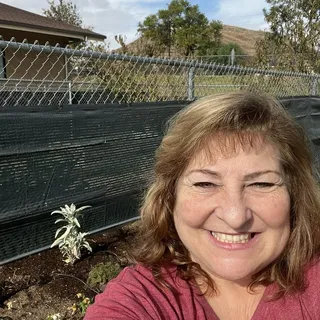 Regina L.