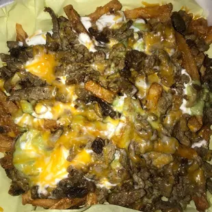 Carne Asada Fries, these are not just regular fries neither. They are SEASONED FRIES!